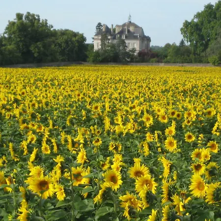 Le Marronnier *